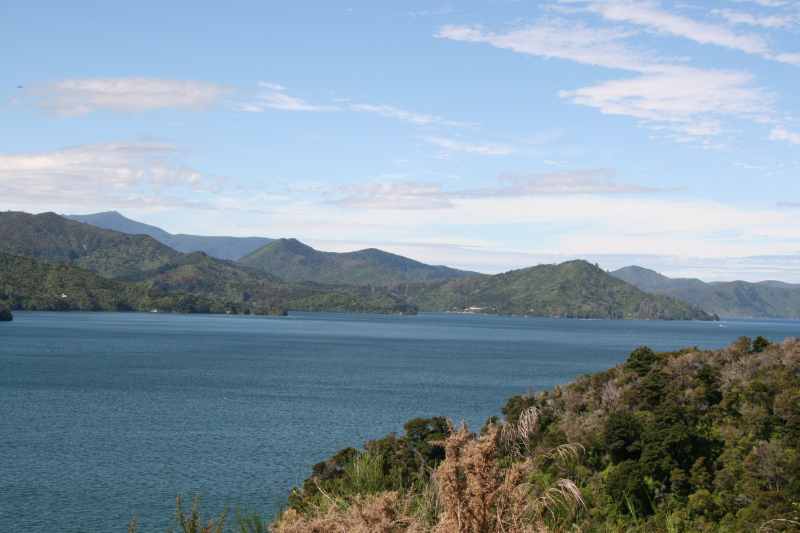 Nieuw-Zeeland 2011 - 0948